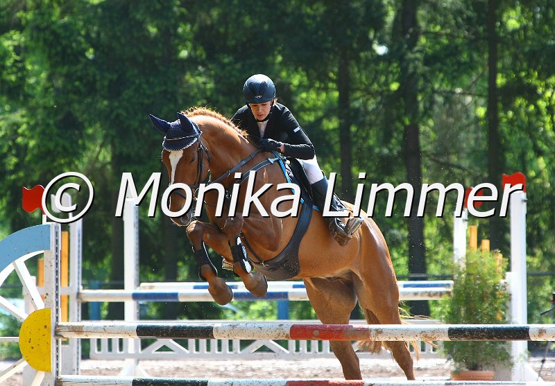 104M8134_Springpf L.JPG